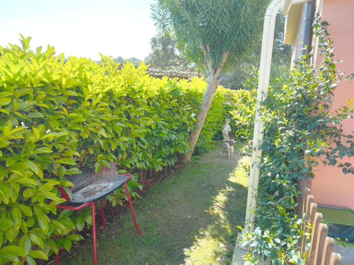 Apartment Bilo Noel
